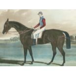 A HAND COLOURED PRINT AFTER J.F HERRING , THE RACE HORSE "INDUSTRY" 44 x 50cms