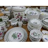 AN EXTENSIVE COLLECTION OF PORT MEIRION BOTANIC GARDENS PATTERN, DINNER AND STORAGE WARES.
