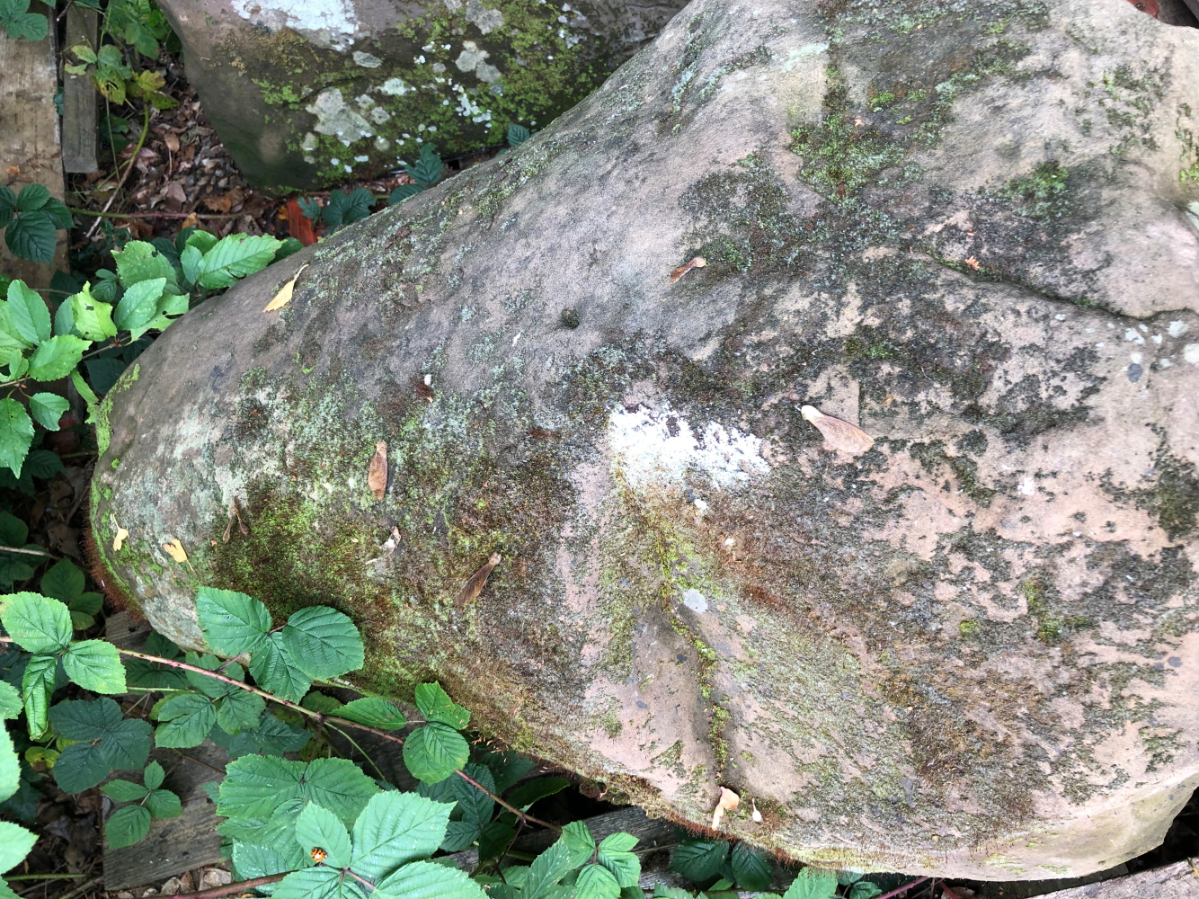 TWO VERY LARGE STADDLE STONES AND TOPS. - Image 2 of 2