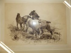 A THOMAS BLINKS PENCIL SIGNED PRINT OF PLOUGH HORSES. 28 x 38cms