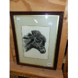 ADRIAN JOICEY (19th/20th.C.) PORTRAIT OF A DONKEY, SIGNED, DRAWING. 28 x 21cms