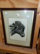 ADRIAN JOICEY (19th/20th.C.) PORTRAIT OF A DONKEY, SIGNED, DRAWING. 28 x 21cms