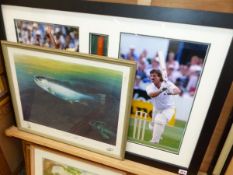 A FRAMED COLOUR PHOTOGRAPH OF IAN BOTHAM. TOGETHER WITH A INSCRIBED SOUVENIR BAT AND A FISH PRINT (