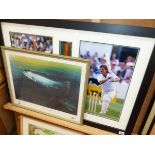 A FRAMED COLOUR PHOTOGRAPH OF IAN BOTHAM. TOGETHER WITH A INSCRIBED SOUVENIR BAT AND A FISH PRINT (