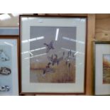 THREE 20th. C. ORNITHOLOGICAL WATERCOLOURS, SIGNED INDISTINCTLY BY DIFFERENT HANDS. TOGETHER WITH