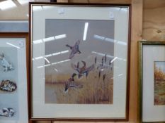 THREE 20th. C. ORNITHOLOGICAL WATERCOLOURS, SIGNED INDISTINCTLY BY DIFFERENT HANDS. TOGETHER WITH