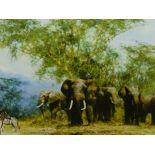 AFTER DAVID SHEPHERD (1931- ) ARR. AMBOSELI, PENCIL SIGNED LIMITED EDITION COLOUR PRINT. 48 x 68cms