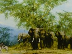 AFTER DAVID SHEPHERD (1931- ) ARR. AMBOSELI, PENCIL SIGNED LIMITED EDITION COLOUR PRINT. 48 x 68cms