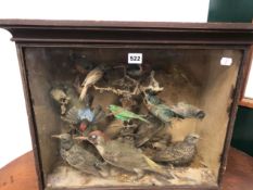 A SELECTION OF TAXIDERMY BIRDS TO INCLUDE A KINGFISHER, GREEN WOODPECKERS AND FINCHES WITHIN A GLASS