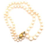 A PRINCESS ROW OF GRADUATED AND KNOTTED CULTURED PEARLS, COMPLETE WITH A 9ct YELLOW GOLD SATIN