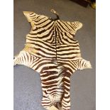 A ZEBRA SKIN