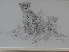 AFTER DAVID SHEPHERD (1931- ) ARR. LEOPARDS, PENCIL SIGNED LIMITED EDITION PRINT. 18 x 26cms
