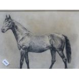EARLY 20th.C. ENGLISH SCHOOL. PORTRAIT OF A RACEHORSE, INITIALLED. DRAWING. 24 x 29cms
