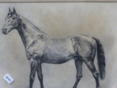 EARLY 20th.C. ENGLISH SCHOOL. PORTRAIT OF A RACEHORSE, INITIALLED. DRAWING. 24 x 29cms