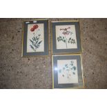 THREE PRINTS OF FLOWERS IN GILT FRAMES