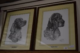 TWO PRINTS OF AN ENGLISH AND IRISH SETTER