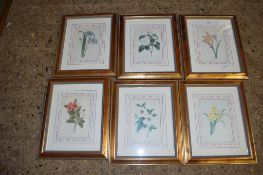 SIX PRINTS OF FLOWERS IN MODERN GILT FRAMES