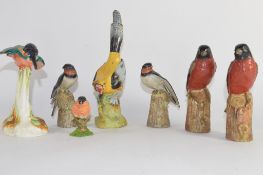 Group of bird models including a Minton model of a kingfisher, and a magpie and two robins on tree