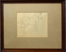 Cyril Walduck Edwards, Horse study, pencil drawing, 17 x 21cm