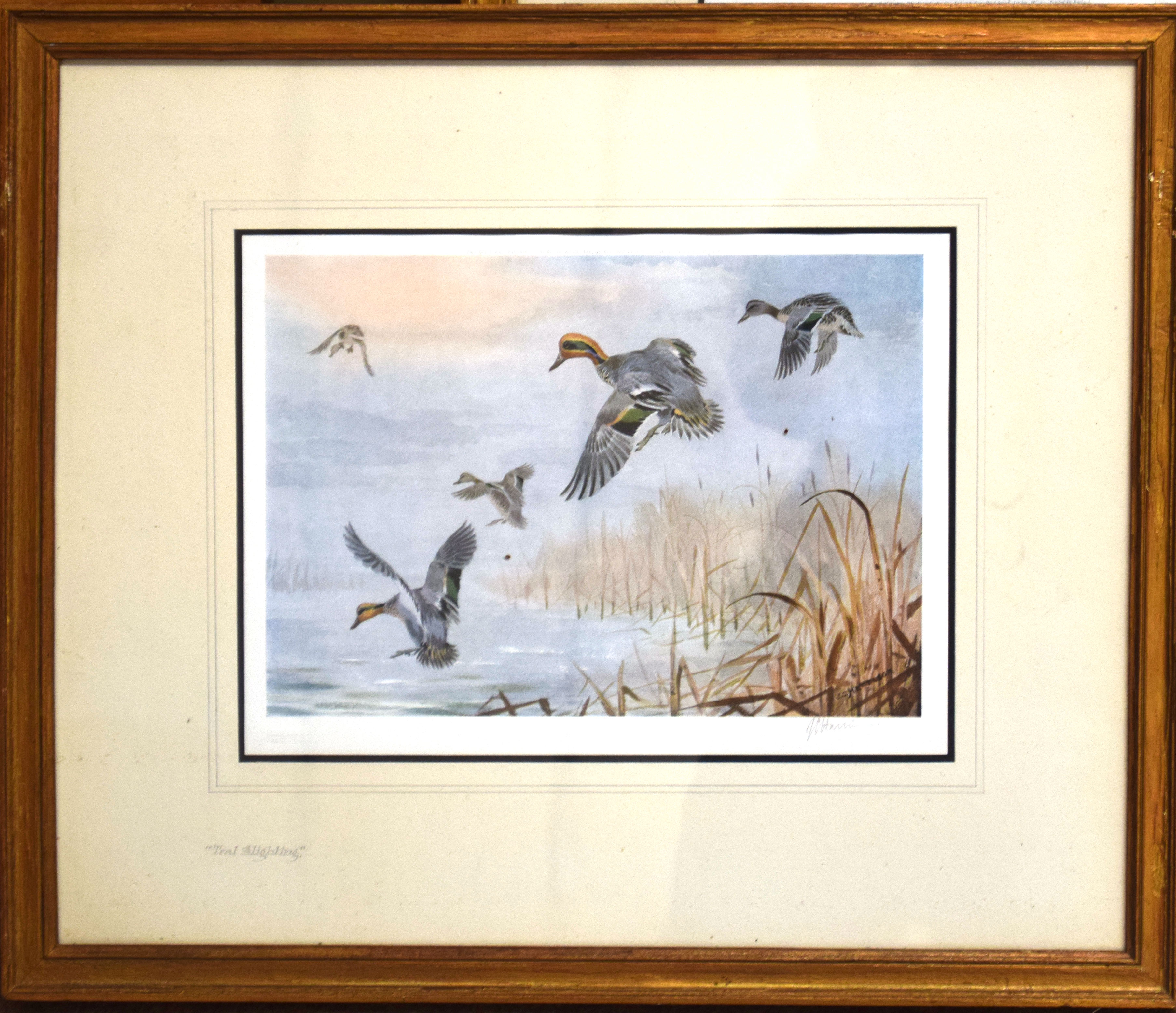 John Cyril Harrison, "Widgeon", "Teal" and "Mallard", group of three artists coloured proofs, all - Image 2 of 3