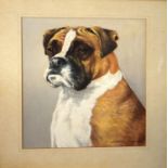 Lawrence Leeks, "Billy Boy, a boxer dog", pastel, signed lower right, 34 x 25cm
