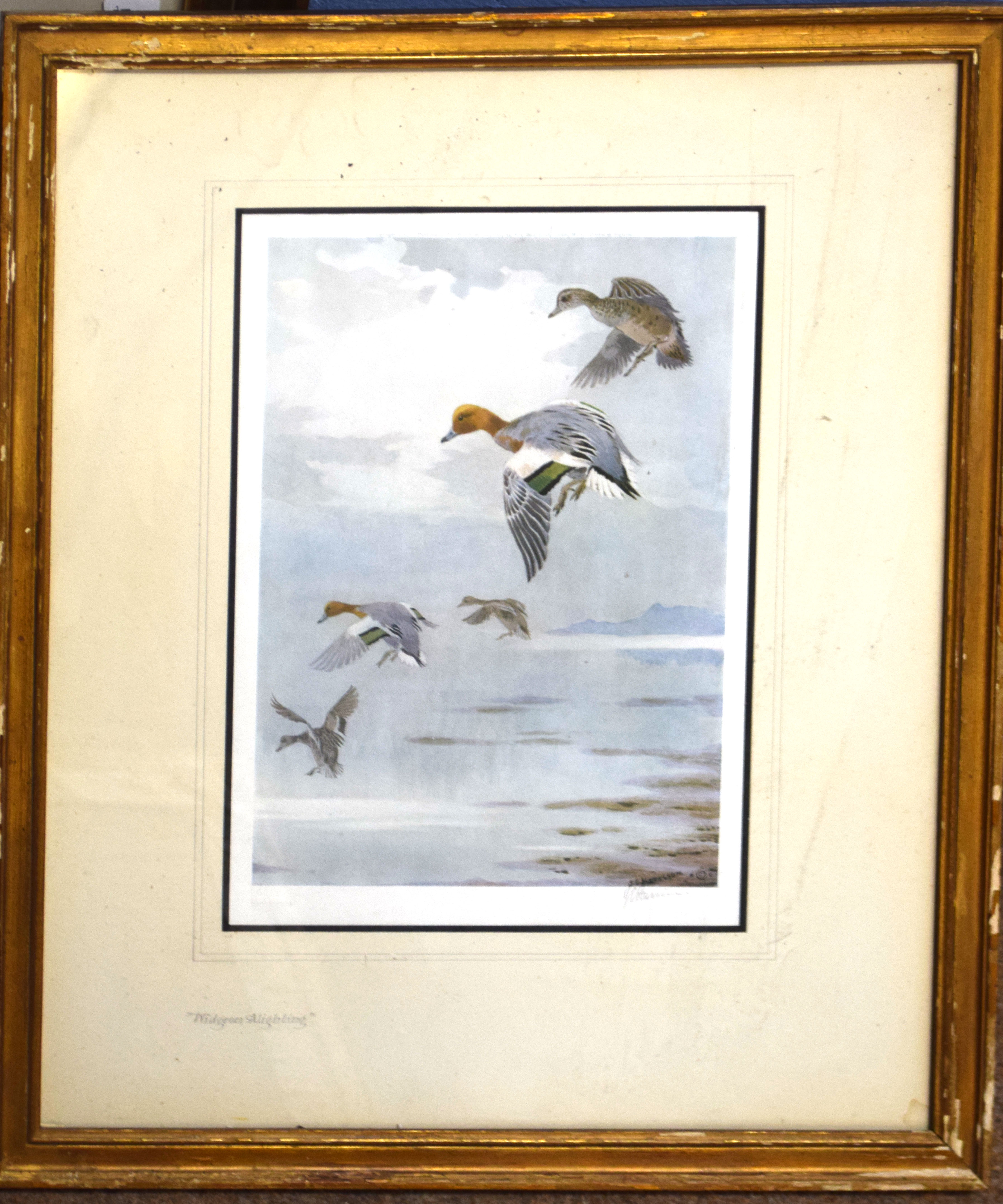 John Cyril Harrison, "Widgeon", "Teal" and "Mallard", group of three artists coloured proofs, all - Image 3 of 3