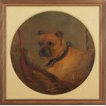 Attributed to George Earl (1824-1908), Dog study, oil on canvas, 45cm diam