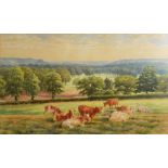 H J Rhodes, Cattle in a landscape, watercolour, signed lower right, 26 x 39cm