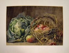 A S, Still Life study of apples in a basket by a cabbage, watercolour, monogrammed lower right, 36 x