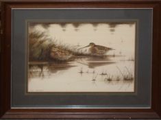 David Daly, "Snipe", watercolour, signed, dated 87 and inscribed with title lower left, 26 x 34cm