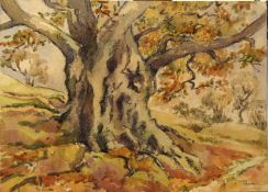 Elsie Woods, "In Sheringham Woods", watercolour, signed lower right, 22 x 38cm, unframed