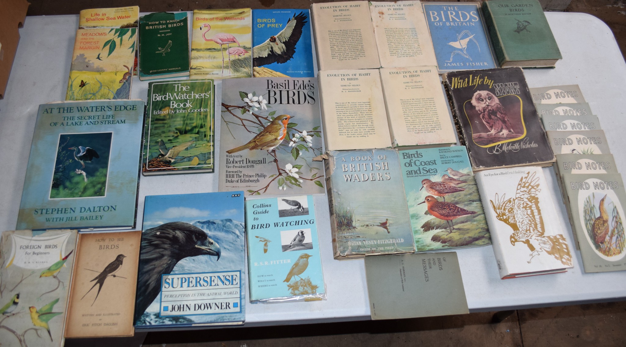 Box: 30 bird and ornithological and pamphlets