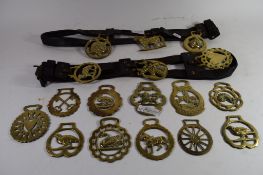 TRAY CONTAINING QUANTITY OF HORSE BRASSES