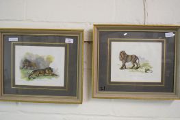 TWO FRAMED PRINTS OF LIONS
