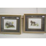 TWO FRAMED PRINTS OF LIONS