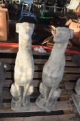 PAIR OF COMPOSITION GARDEN ORNAMENTS OF SEATED WHIPPETS 75CM HEIGHT X 24CM WIDE