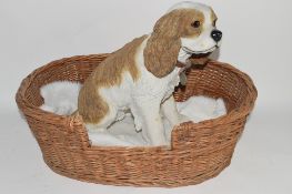 LARGE MODEL OF A KING CHARLES CAVALIER SPANIEL FROM THE LEONARDO COLLECTION