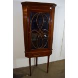 GOOD QUALITY EARLY 20TH CENTURY MAHOGANY CORNER DISPLAY UNIT ON STAND RAISED ON TAPERED LEGS WITH