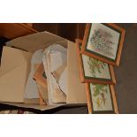 BOX OF PICTURES INCLUDING BOTANICAL PRINTS IN LIGHT OAK FRAMES