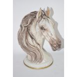 MODEL OF A HORSES HEAD BY CEDRASCHI