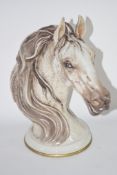 MODEL OF A HORSES HEAD BY CEDRASCHI