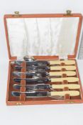 BOXED SET OF STAINLESS STEEL BONE HANDLED KNIVES AND PLATED TEA SPOONS