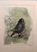 A Giles Hobbs (20th century), Bird in a landscape, coloured etching and aquatint, signed in pencil