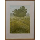 Kenneth Leech (20th century), "Lark Rise", coloured lithograph, signed, numbered 101/150 and