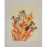AR Robert Jones (1943), Flower studies, pair of coloured screen prints, signed, dated 74 and
