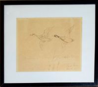 Roland Green, Mallard in flight, pen and ink drawing, signed and dated April 1885 lower right, 16