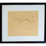 Roland Green, Mallard in flight, pen and ink drawing, signed and dated April 1885 lower right, 16