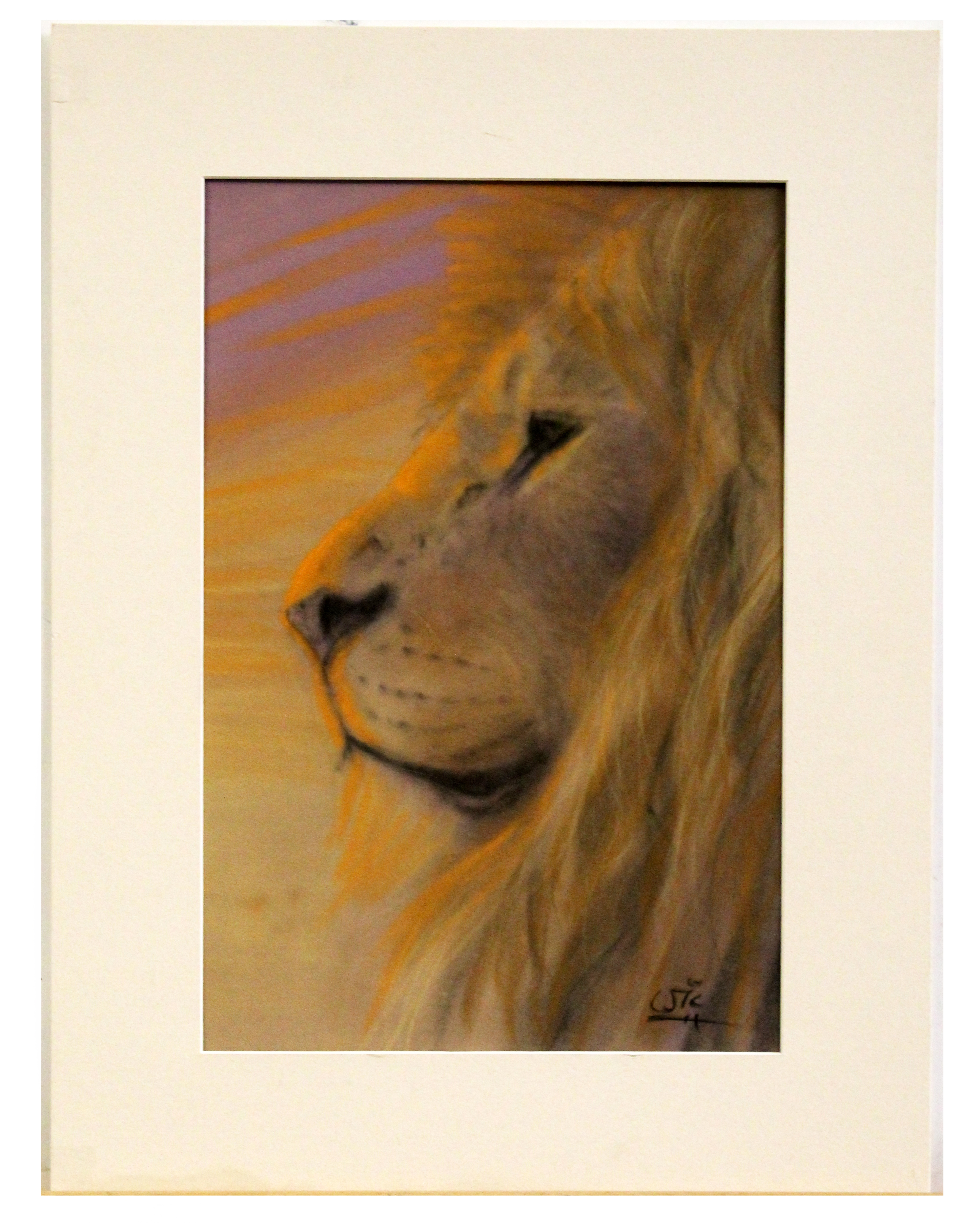 AR Vic Bearcroft (contemporary), Lion's Head, pastel, signed lower right, 45 x 30cm, mounted but