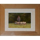 James J Allen, "Sheep in Suffolk", oil on board, signed lower left, 12 x 16cm