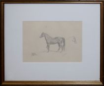Circle of Sir Alfred J Munnings, Horse study, pencil drawing, bears initials lower left, 16 x 23cm